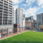 広報チームがのぞいてみた！ Vol.4 りすのこ壁画アートプロジェクト編